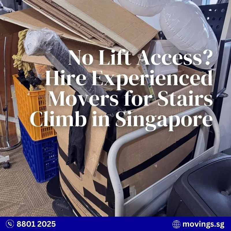Moving boxes secured on a trolley for stair access during a home move in Singapore