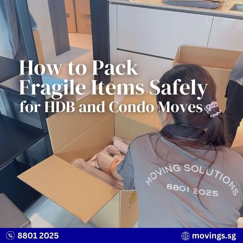Moving Solutions staff carefully packing household items into boxes in Singapore