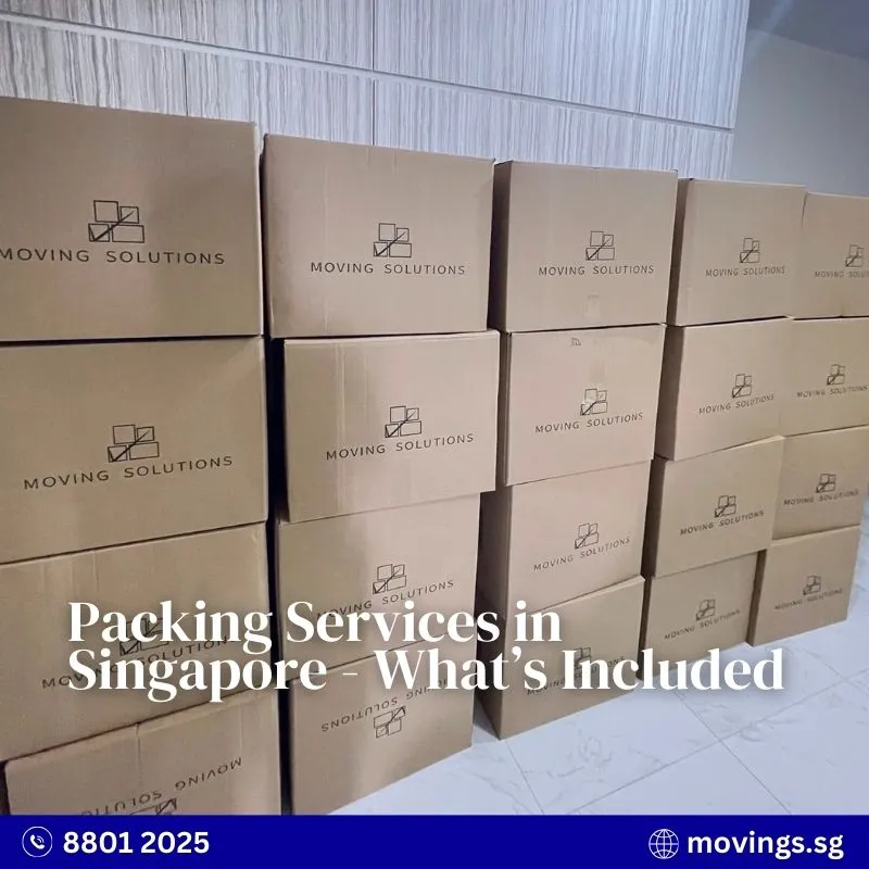 Moving boxes neatly packed and labelled for a home move in Singapore