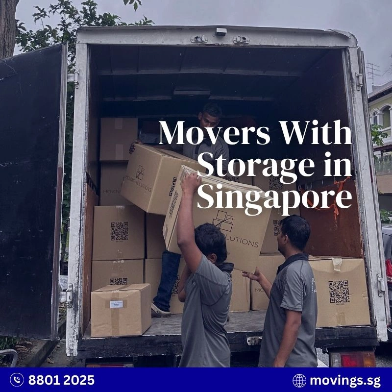 movers from moving solutions carrying boxes