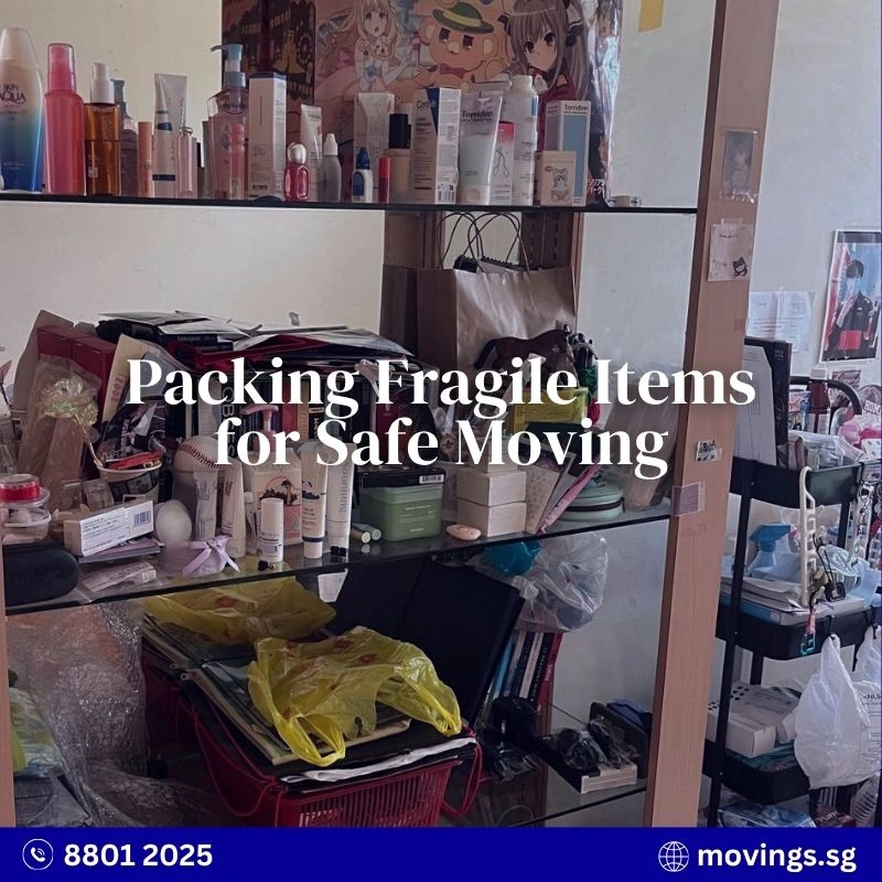 Packing fragile items for an international move with Moving Solutions Singapore