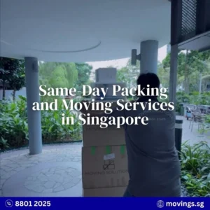 Same-day packing and moving services in Singapore